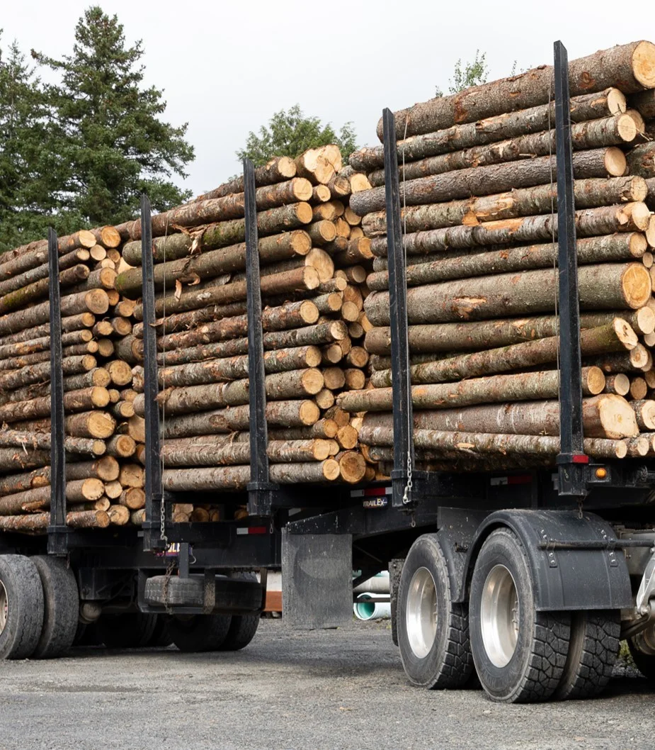 grume-camion-de-25-steres-1.webp Kastanienstämme, 50-Stère-LKW-Ladung – Bild 1